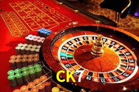 CK7 Indicadores de vuelo